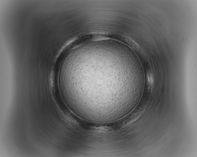 X0000116440396200912151244