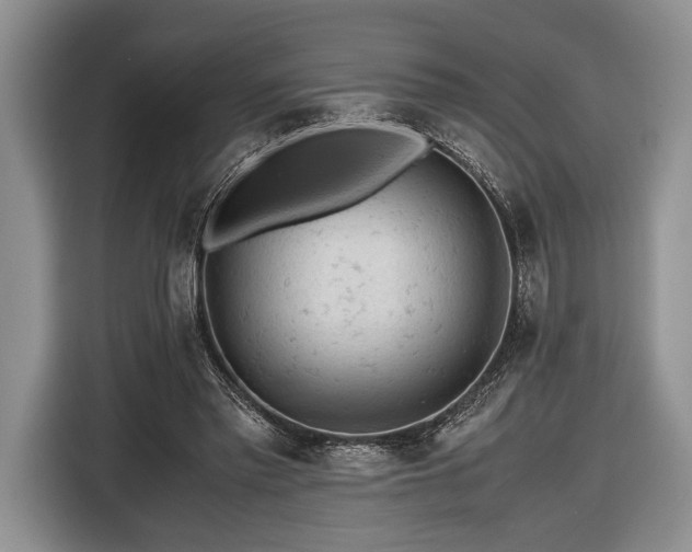X0000116440397200912151244