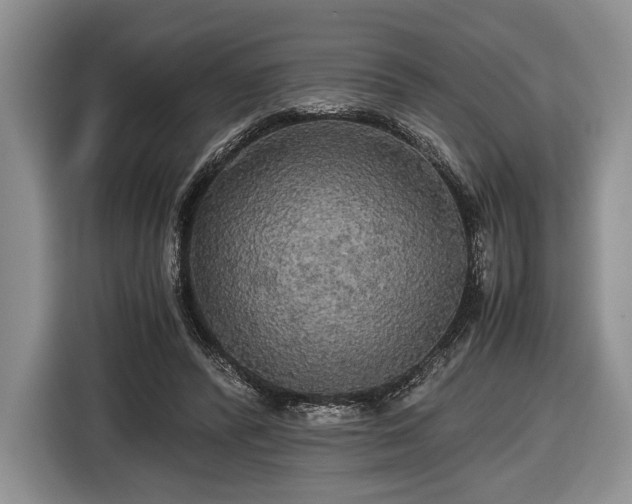 X0000116440400200912151244