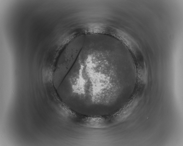 X0000116440401200912151244