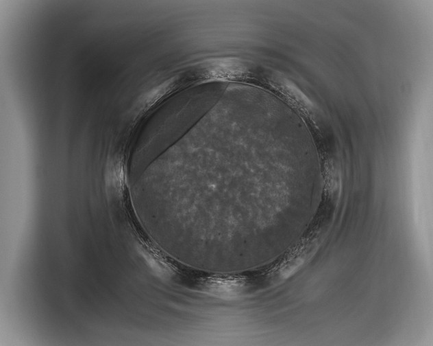 X0000116440405200912151244