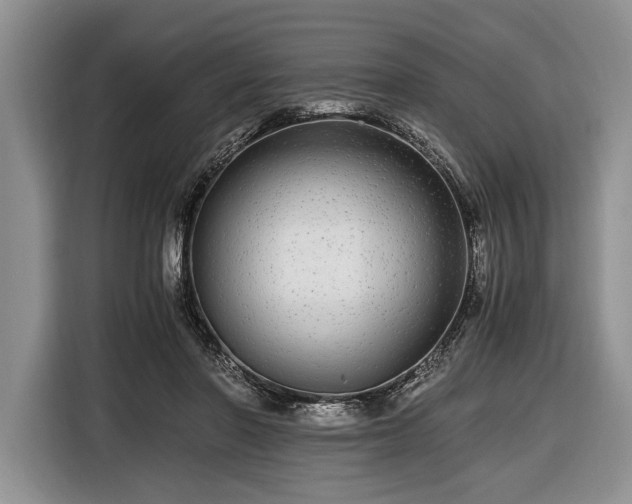 X0000116440406200912151244