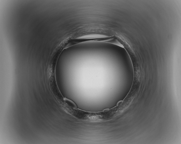 X0000116440407200912151244