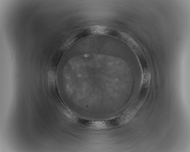 X0000116440409200912151244