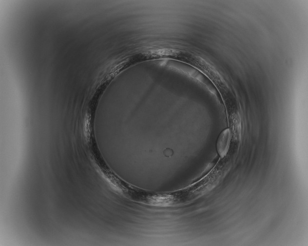 X0000116440410200912151244