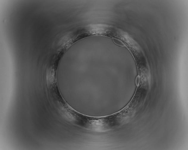 X0000116440411200912151244