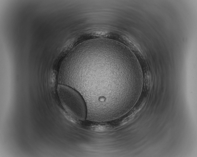 X0000116440412200912151244