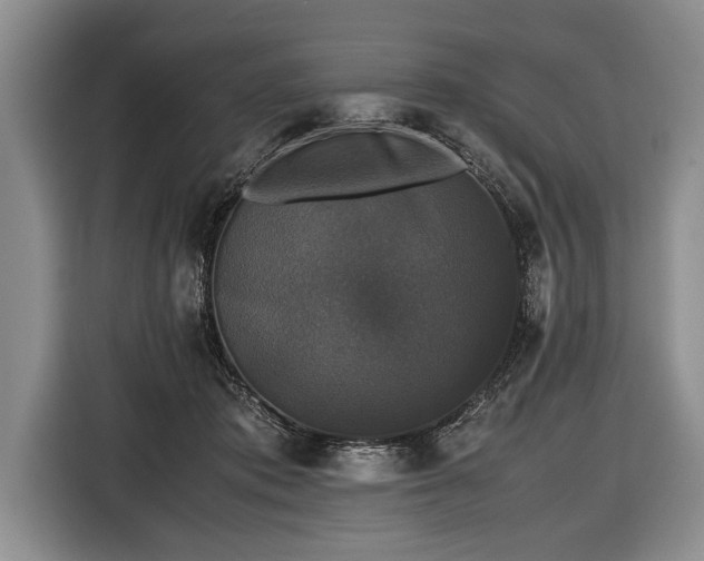 X0000116440413200912151244