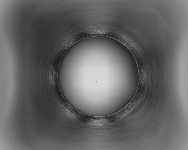 X0000116440414200912151244