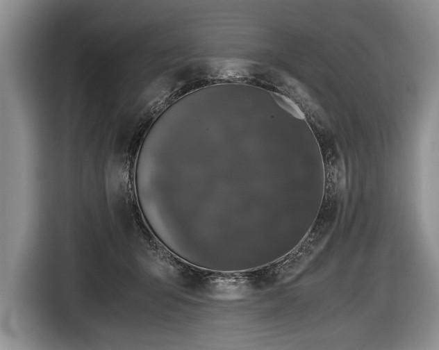 X0000116440415200912151244
