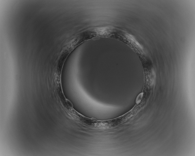 X0000116440419200912151244