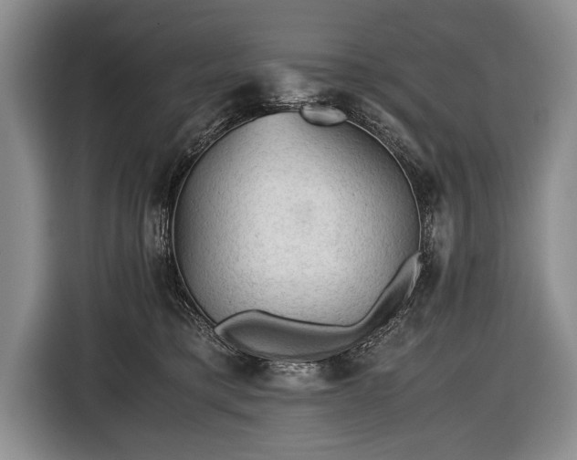 X0000116440421200912151244