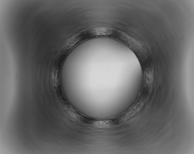 X0000116440422200912151244