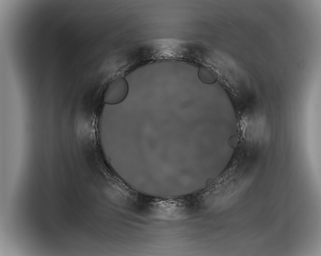 X0000116440423200912151244