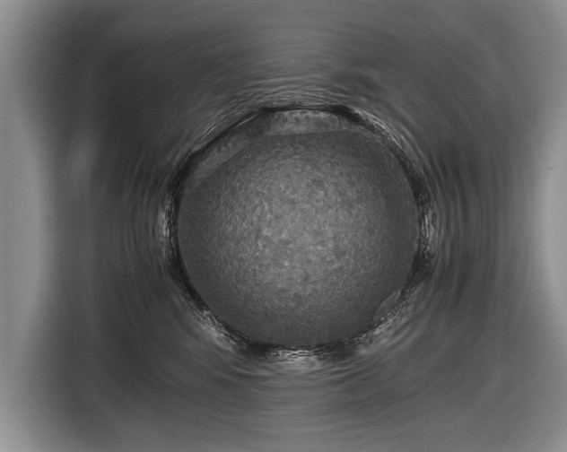 X0000116440424200912151244