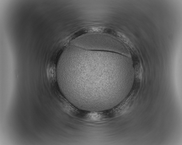 X0000116440425200912151244
