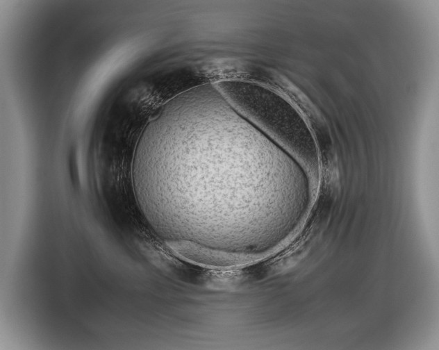 X0000116440429200912151244