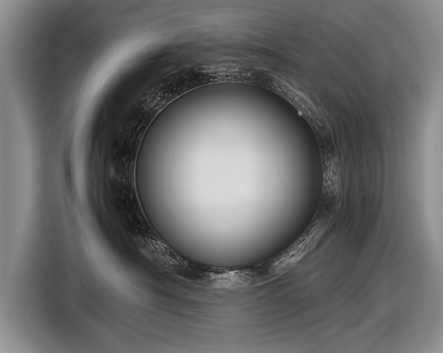 X0000116440430200912151244