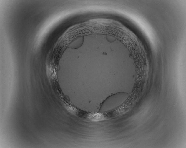 X0000116440431200912151244