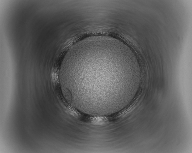 X0000116440432200912151244