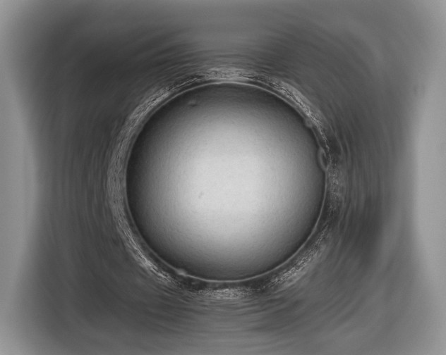 X0000116440433200912151243