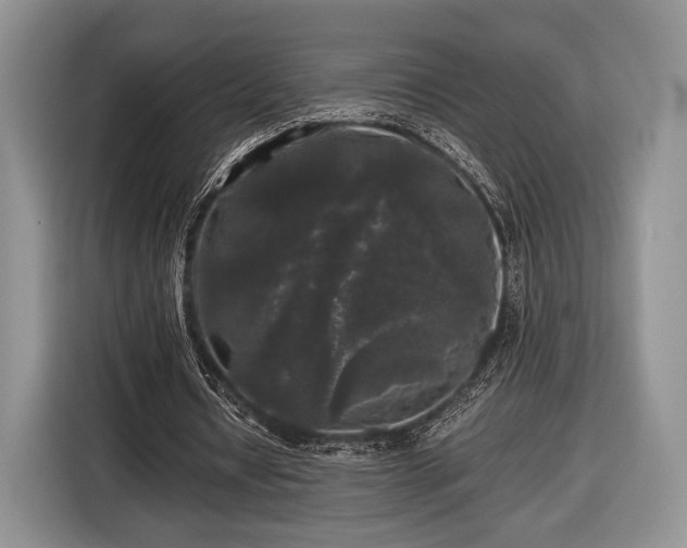 X0000116440434200912151243