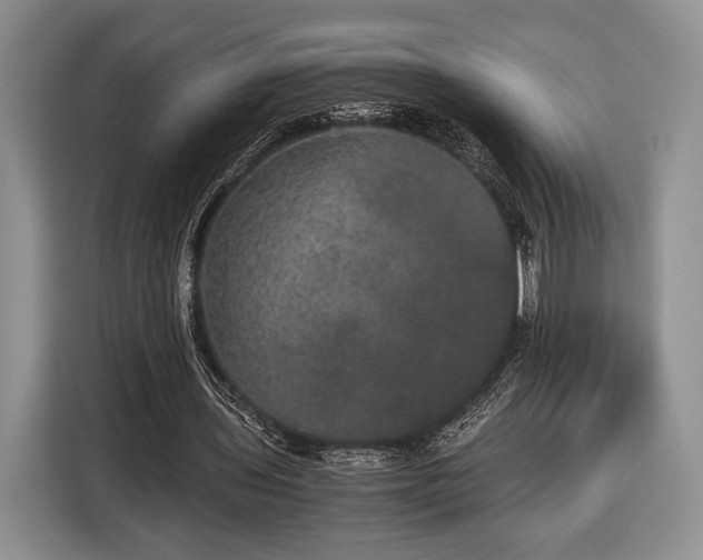 X0000116440435200912151243