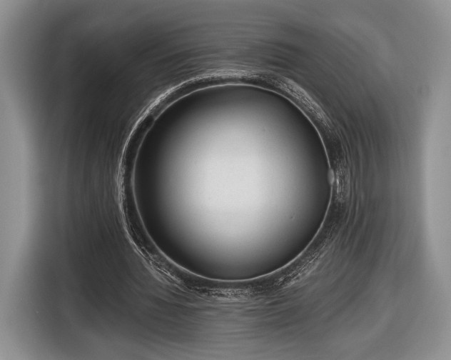 X0000116440436200912151243