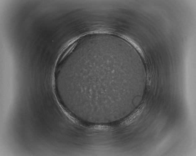 X0000116440437200912151243