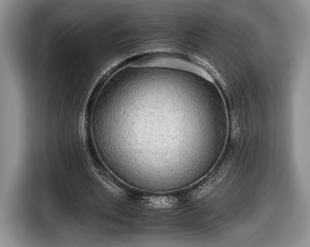 X0000116440439200912151243