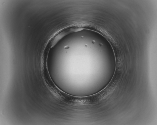 X0000116440440200912151243