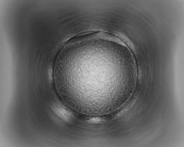 X0000116440441200912151243