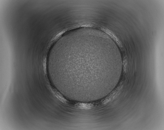 X0000116440442200912151243