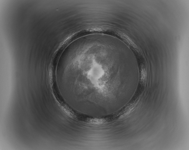 X0000116440444200912151243