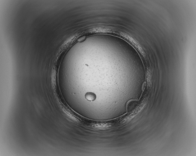 X0000116440445200912151243