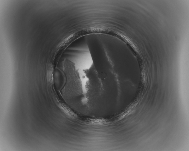 X0000116440446200912151243