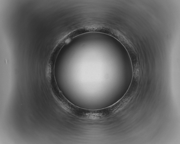 X0000116440448200912151243