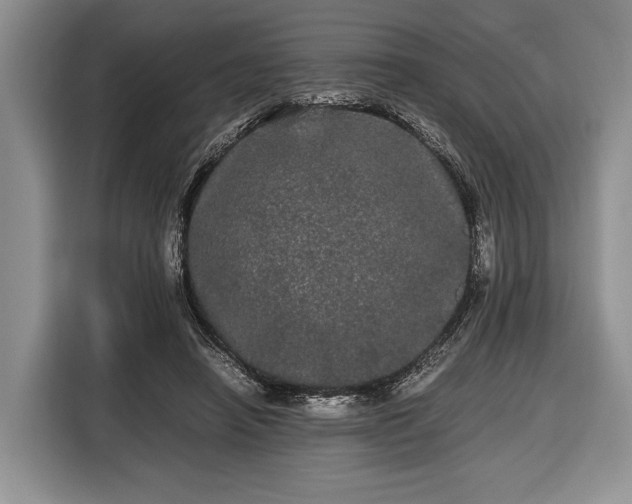 X0000116440450200912151243
