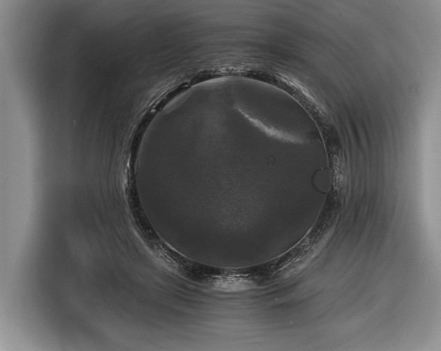 X0000116440451200912151243
