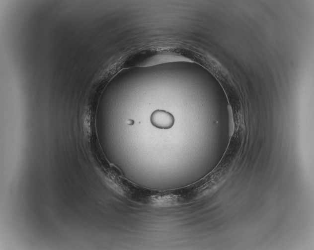 X0000116440452200912151243