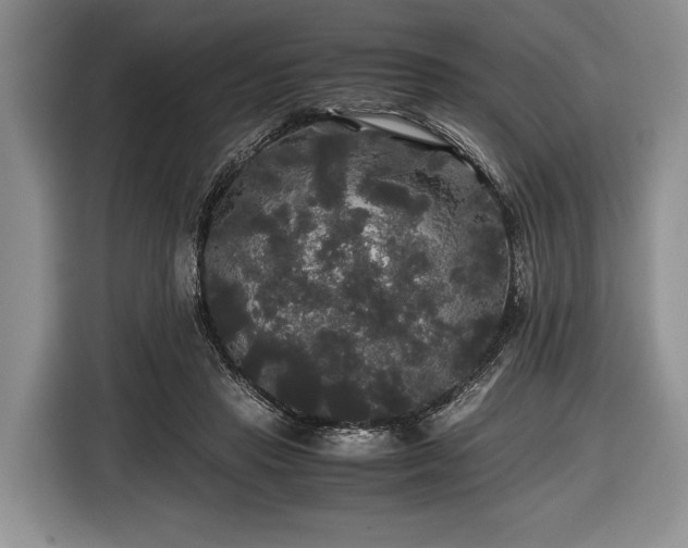 X0000116440453200912151243