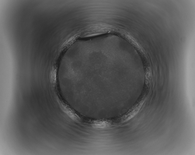 X0000116440454200912151243