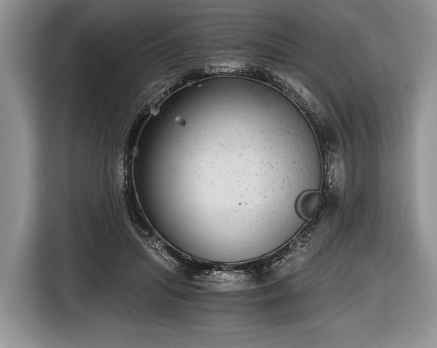 X0000116440455200912151243