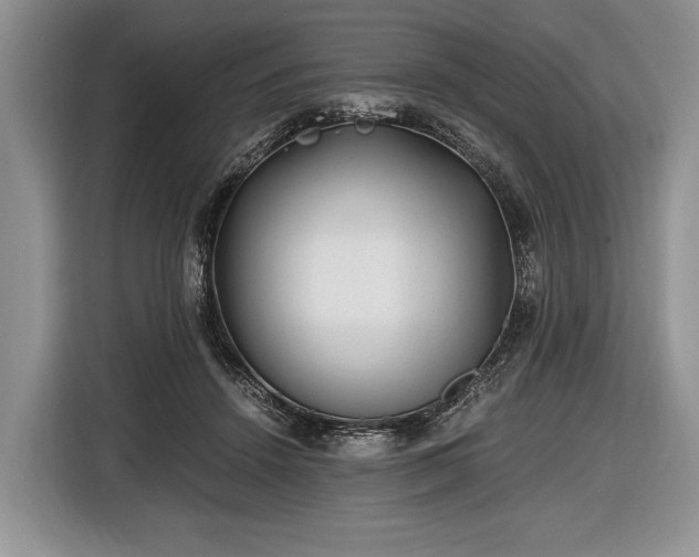 X0000116440456200912151243