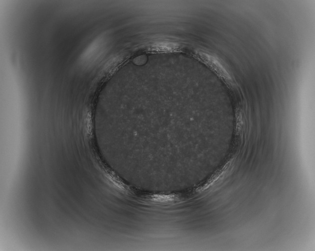 X0000116440457200912151243