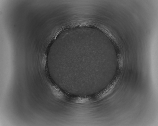 X0000116440458200912151243