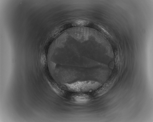 X0000116440459200912151243