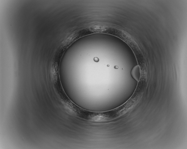 X0000116440460200912151243