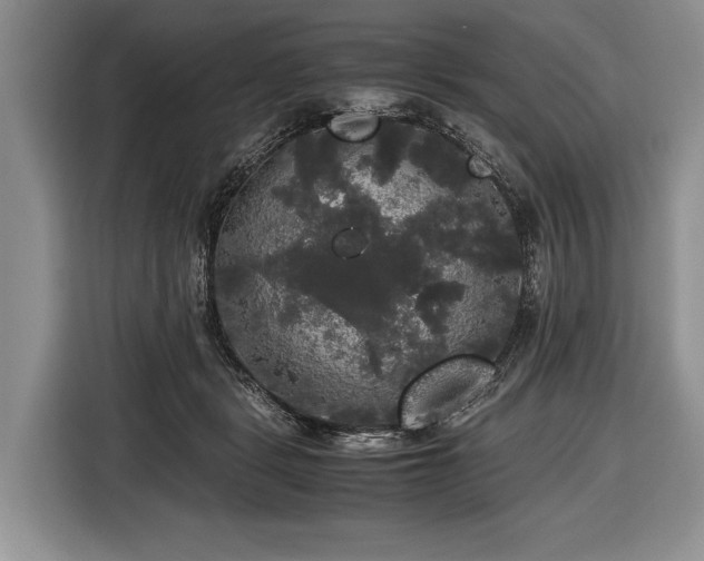 X0000116440461200912151243
