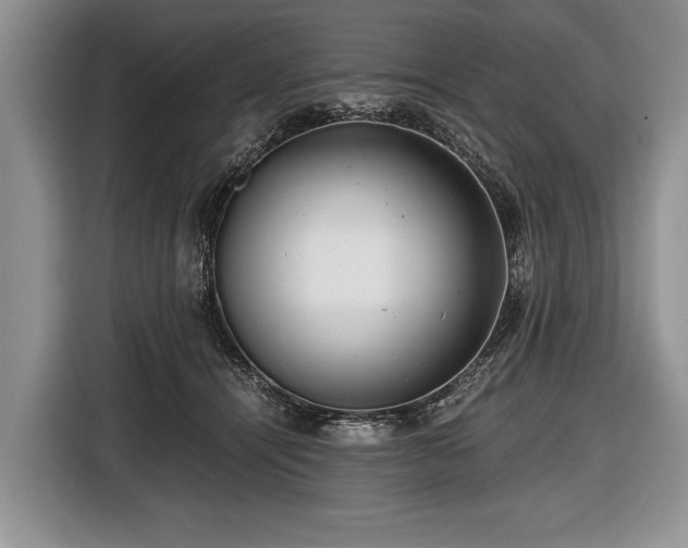 X0000116440464200912151243
